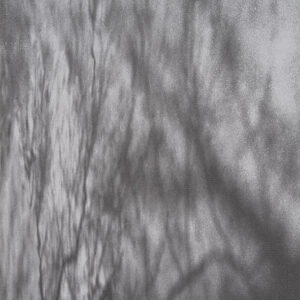 Jocelyne Alloucherie : Glissements